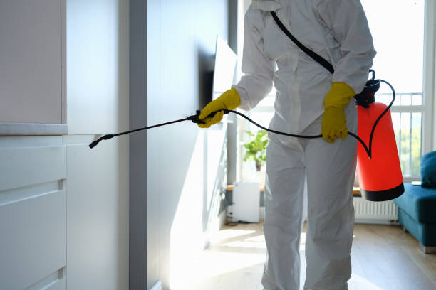 Best Mold Remediation Services  in Krebs, OK