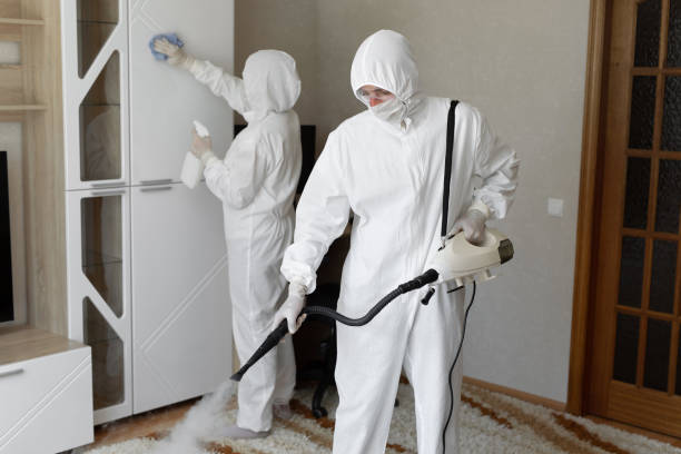 Best Mold Cleaning Services  in Krebs, OK