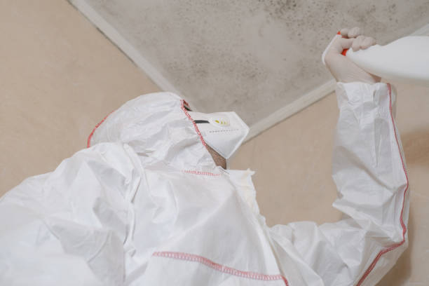Best Affordable Mold Removal  in Krebs, OK