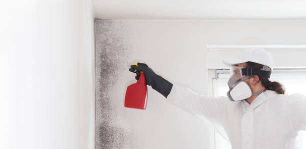 Best Fast Mold Removal  in Krebs, OK
