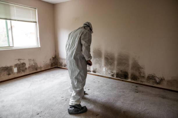 Best Residential Mold Removal  in Krebs, OK