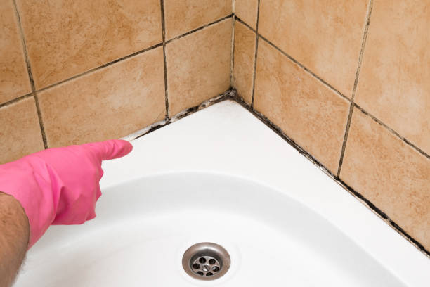 Krebs, OK Mold Removal Company